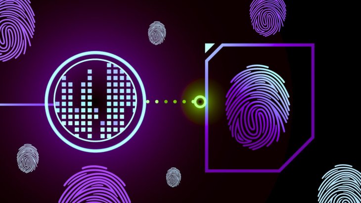 حقوق کاربران در خرید و فروش NFT و دارایی‌های دیجیتال